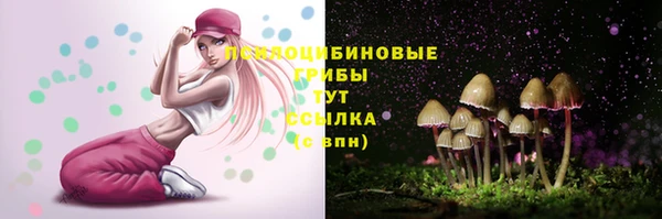 PSILOCYBIN Абаза