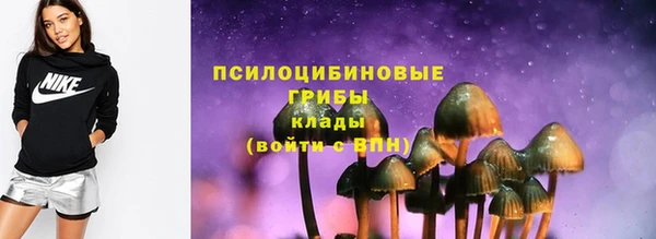 PSILOCYBIN Абаза