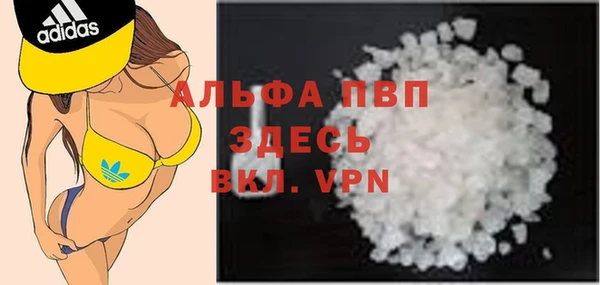 сатива Абинск