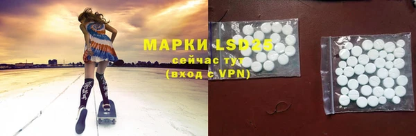 PSILOCYBIN Абаза