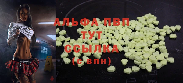 PSILOCYBIN Тутаев