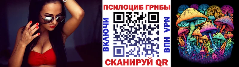 продажа наркотиков Ярославль Псилоцибиновые грибы MAGIC MUSHROOMS